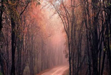 中超：成都蓉城队1-0力克武汉三镇队.