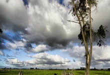 性格弱势，如何提高博弈能力？.