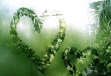 性格弱势，如何提高博弈能力？.