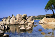 中超：成都蓉城队1-0力克武汉三镇队.